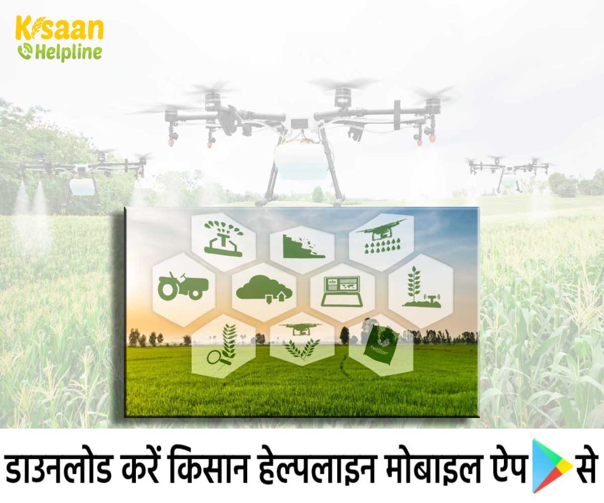Precision Farming: सटीक खेती वैज्ञानिक तरीकों से भारत में कृषि क्षेत्र को देंगे बढ़ावा Precision Farming: सटीक खेती वैज्ञानिक तरीकों से भारत में कृषि क्षेत्र को देंगे बढ़ावा