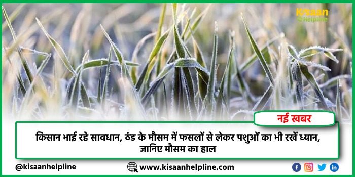 किसान भाई रहे सावधान, ठंड के मौसम में फसलों से लेकर पशुओं का भी रखें ध्यान, जानिए मौसम का हाल किसान भाई रहे सावधान, ठंड के मौसम में फसलों से लेकर पशुओं का भी रखें ध्यान, जानिए मौसम का हाल