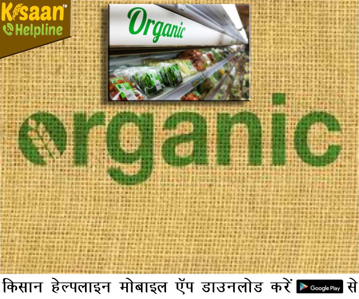 आत्मनिर्भर भारत: किसान बनें आत्मनिर्भर, शुरू किया जैविक शॉपिंग मॉल आत्मनिर्भर भारत: किसान बनें आत्मनिर्भर, शुरू किया जैविक शॉपिंग मॉल