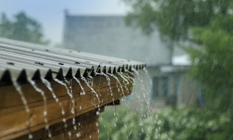 भोपाल, इंदौर समेत कई शहरों में आज बारिश - ओले के आसार भोपाल, इंदौर समेत कई शहरों में आज बारिश - ओले के आसार