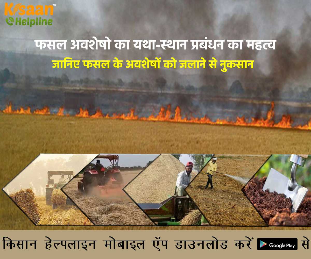 फसल अवशेषो का यथा-स्थान प्रबंधन का महत्व, जानिए फसल के अवशेषों को जलाने से नुकसान फसल अवशेषो का यथा-स्थान प्रबंधन का महत्व, जानिए फसल के अवशेषों को जलाने से नुकसान