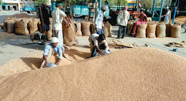 गेंहू की आवक का नया रिकॉर्ड कायम हुआ, किसानो में उत्साह का माहौल है  गेंहू की आवक का नया रिकॉर्ड कायम हुआ, किसानो में उत्साह का माहौल है