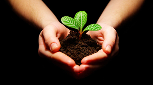 जैविक खेती को लेकर, कृषि विश्वविद्यालय करेगा समर्थन और सहयोग जैविक खेती को लेकर, कृषि विश्वविद्यालय करेगा समर्थन और सहयोग