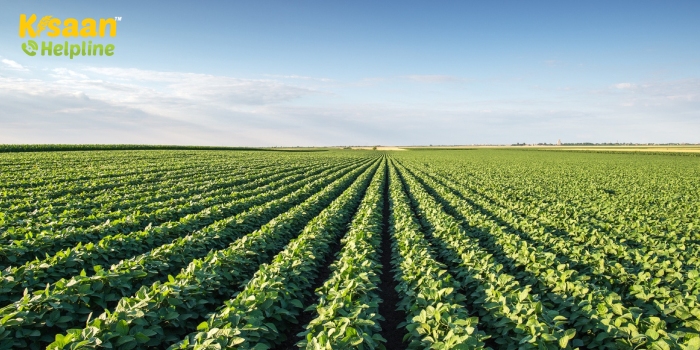 जानिए जून माह में किये जाने वाले महत्वपूर्ण कृषि कार्यों के बारे में जानिए जून माह में किये जाने वाले महत्वपूर्ण कृषि कार्यों के बारे में