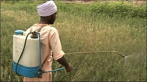 खरपतवारनाशक रसायनों के छिड़काव में बरतें सावधानी, गलती से भी ये भूल न करे खरपतवारनाशक रसायनों के छिड़काव में बरतें सावधानी, गलती से भी ये भूल न करे