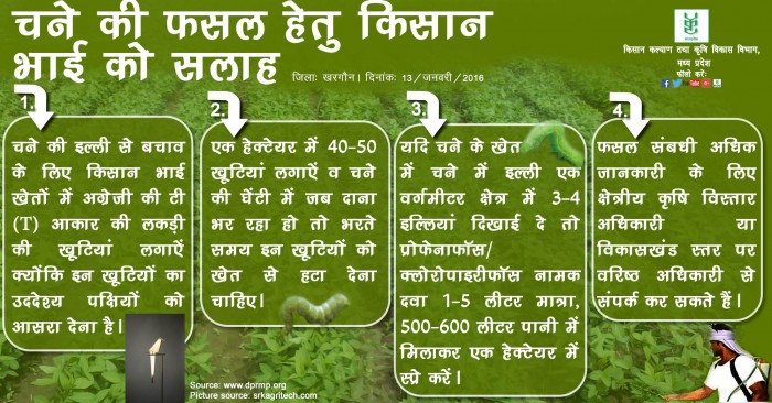 चने की फसल हेतु किसान भाई को सलाह