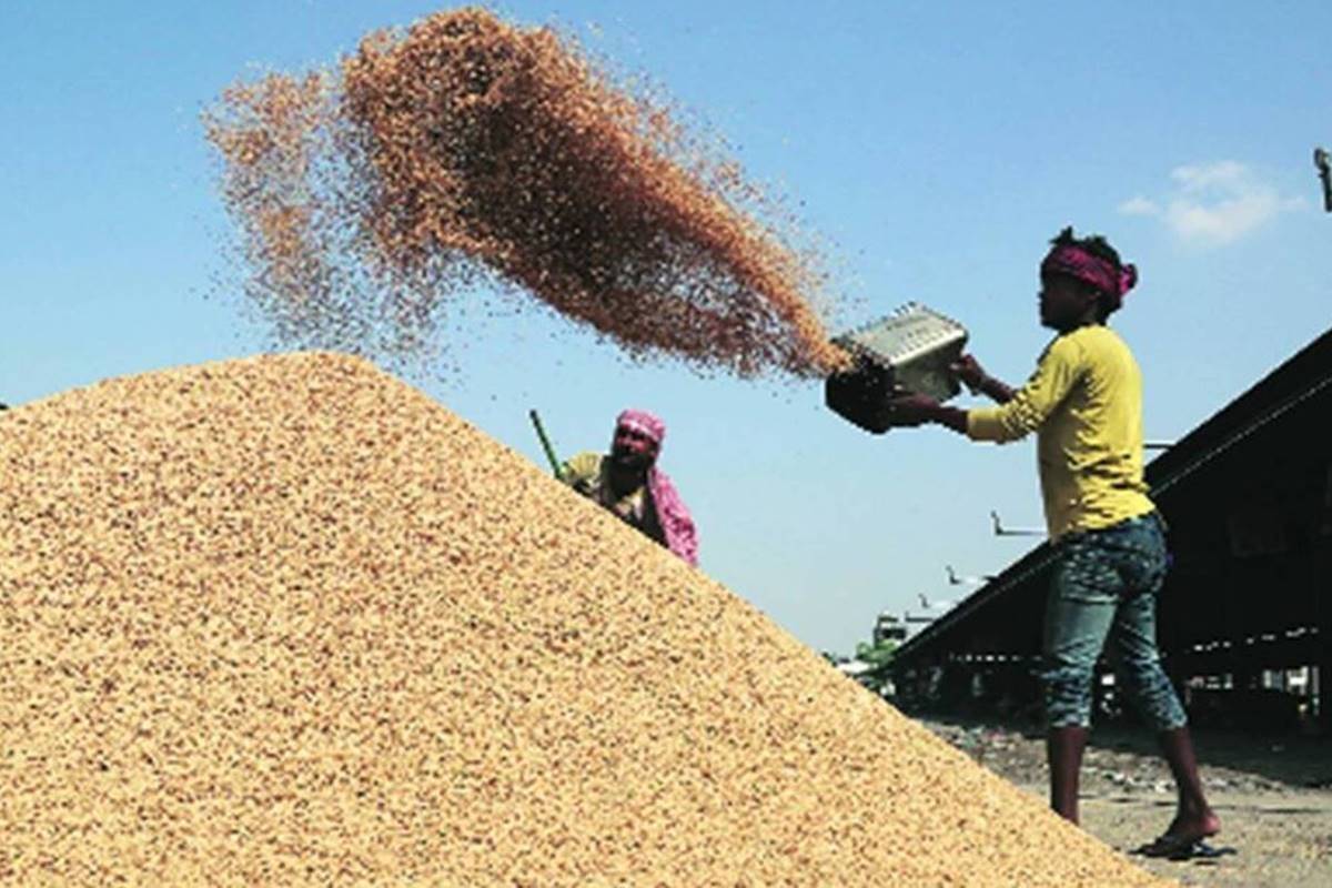 इस खरीफ विपणन सीजन में सरकार  ने अब तक 1.20 लाख करोड़ रुपये के धान की खरीद की