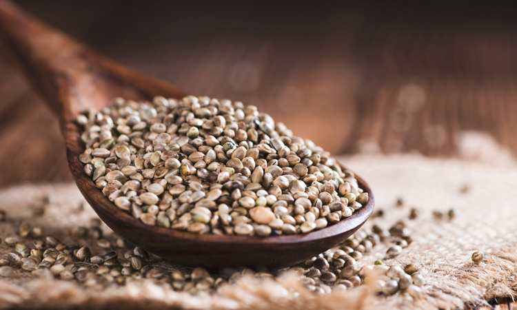 कैसे ख़रीदे उन्नत किस्म के बीज, जाने जरुरी बाते कैसे ख़रीदे उन्नत किस्म के बीज, जाने जरुरी बाते