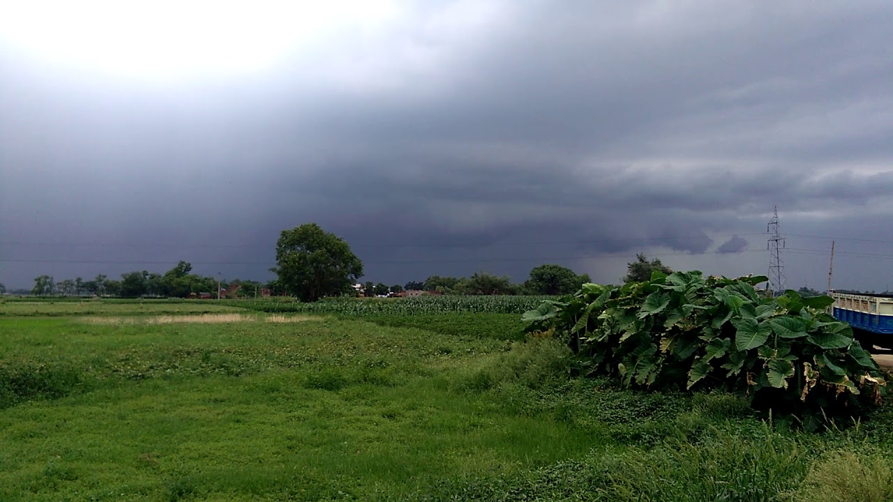 मानसून अलर्ट - इस साल बारिश को लेकर कुछ पूर्वानुमान, और उनका खेती पर असर मानसून अलर्ट - इस साल बारिश को लेकर कुछ पूर्वानुमान, और उनका खेती पर असर