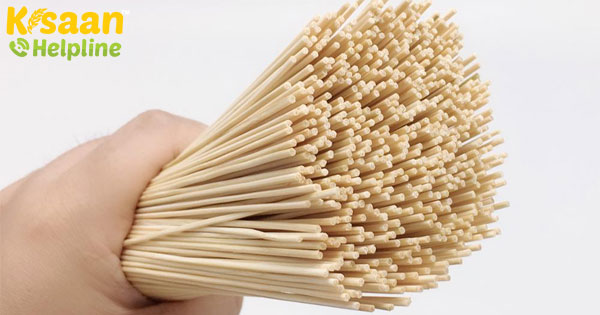 भारत में अगरबत्ती और बांस उद्योगों को बढ़ावा देने के लिए आयातित आयात शुल्क: KVIC भारत में अगरबत्ती और बांस उद्योगों को बढ़ावा देने के लिए आयातित आयात शुल्क: KVIC