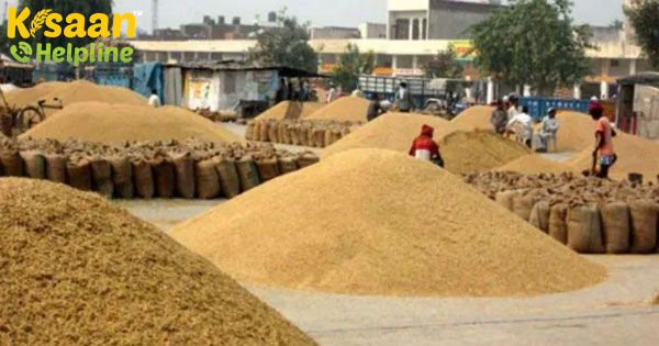 ओडिशा ने खरीफ-2020 में 96 लाख मीट्रिक टन खाद्यान्न उत्पादन का लक्ष्य ओडिशा ने खरीफ-2020 में 96 लाख मीट्रिक टन खाद्यान्न उत्पादन का लक्ष्य