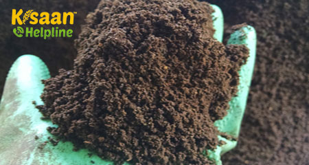 आपको रासायनिक उर्वरक में वर्मीकम्पोस्ट चुनने की आवश्यकता क्यों है? आपको रासायनिक उर्वरक में वर्मीकम्पोस्ट चुनने की आवश्यकता क्यों है?