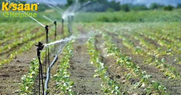 नाबार्ड के साथ सरकार 5,000 करोड़ रुपये का माइक्रो इरिगेशन फंड कोष बनाया नाबार्ड के साथ सरकार 5,000 करोड़ रुपये का माइक्रो इरिगेशन फंड कोष बनाया