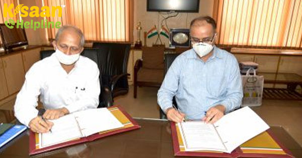 आईसीएआरओ ने सहयोगी अनुसंधान, परीक्षण और मान्य उत्पादों पर इफको के साथ संबंध स्थापित आईसीएआरओ ने सहयोगी अनुसंधान, परीक्षण और मान्य उत्पादों पर इफको के साथ संबंध स्थापित