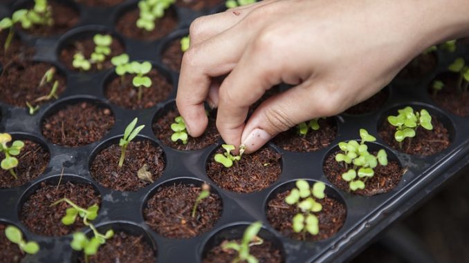 आपके बेहतर स्वास्थ्य के लिए जरुरी बाते, जैविक खेती और उसका असर जरूर पढ़े। आपके बेहतर स्वास्थ्य के लिए जरुरी बाते, जैविक खेती और उसका असर जरूर पढ़े।