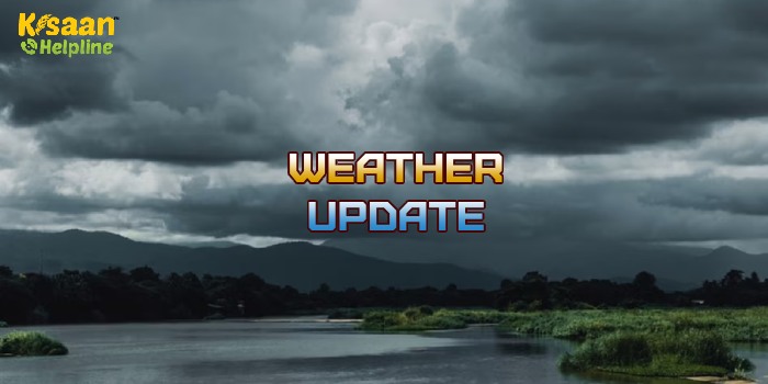 Weather Update : मौसम विभाग का लेटेस्ट अपडेट, मध्य प्रदेश, दिल्ली-यूपी समेत इन राज्यों में भारी बारिश के आसार Weather Update : मौसम विभाग का लेटेस्ट अपडेट, मध्य प्रदेश, दिल्ली-यूपी समेत इन राज्यों में भारी बारिश के आसार