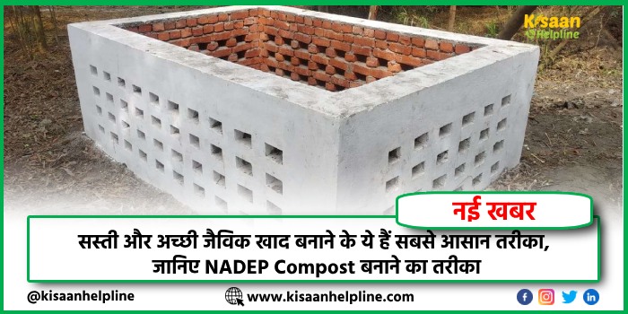 सस्ती और अच्छी जैविक खाद बनाने के ये हैं सबसे आसान तरीका, जानिए NADEP Compost बनाने का तरीका सस्ती और अच्छी जैविक खाद बनाने के ये हैं सबसे आसान तरीका, जानिए NADEP Compost बनाने का तरीका
