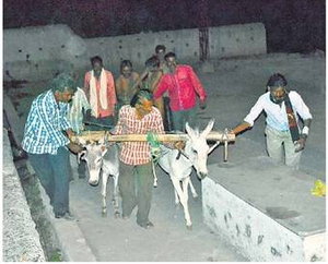 जिले से रूठे मानसून को मनाने के लिए मंदसौर मै गधे चलाकर नमक की बुआई की  जिले से रूठे मानसून को मनाने के लिए मंदसौर मै गधे चलाकर नमक की बुआई की