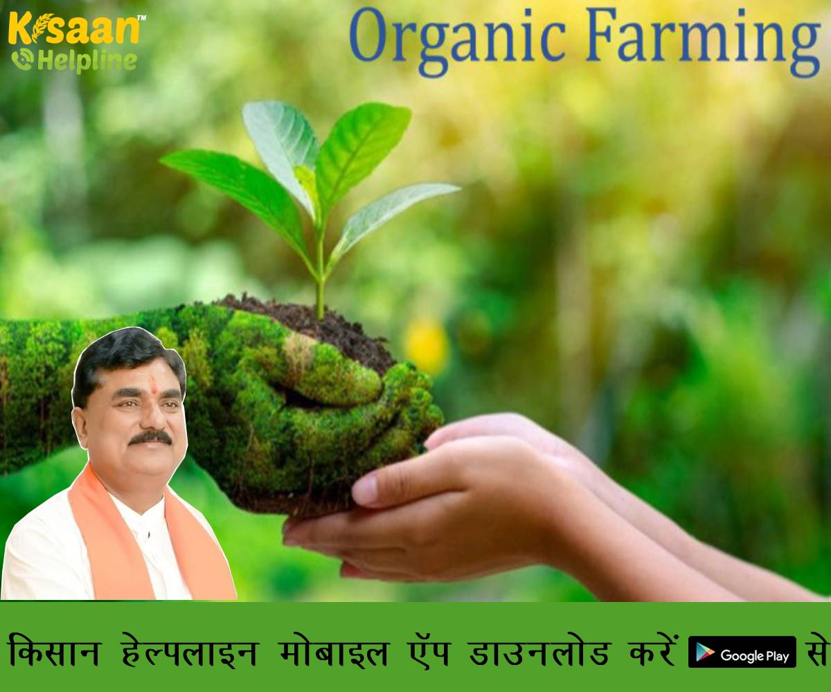 मुख्यमंत्री श्री शिवराज सिंह चौहान ने मध्यप्रदेश में जैविक खेती को बढ़ावा देने के लिए मुझे ज़िम्मेदारी सौंपी है : कमल पटेल मुख्यमंत्री श्री शिवराज सिंह चौहान ने मध्यप्रदेश में जैविक खेती को बढ़ावा देने के लिए मुझे ज़िम्मेदारी सौंपी है : कमल पटेल