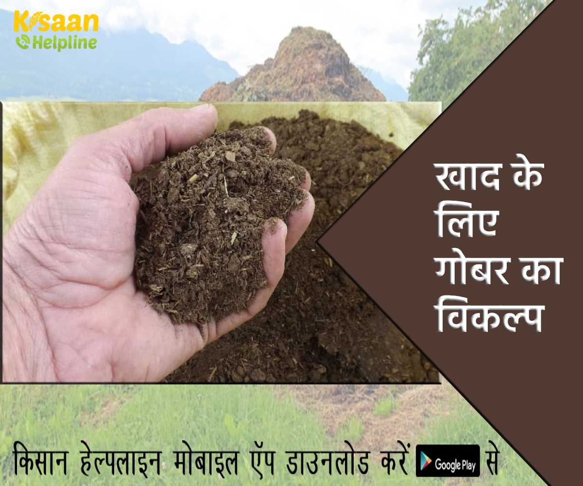 खाद के लिए गोबर का विकल्प: पीएम मोदी ने राष्ट्रीय सम्मेलन में जैविक खेती पर बल दिया खाद के लिए गोबर का विकल्प: पीएम मोदी ने राष्ट्रीय सम्मेलन में जैविक खेती पर बल दिया