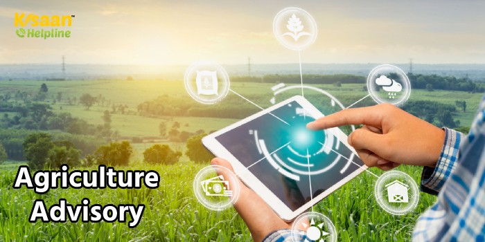 किसान इन बातों का रखें विशेष ध्यान, जानिए कृषि विशेषज्ञों द्वारा जारी की एडवाइजरी के बारे में किसान इन बातों का रखें विशेष ध्यान, जानिए कृषि विशेषज्ञों द्वारा जारी की एडवाइजरी के बारे में