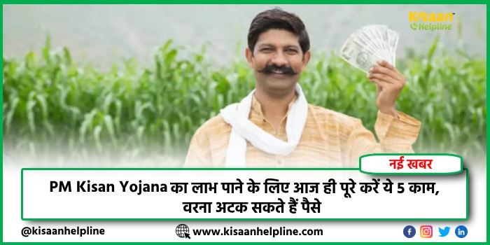 PM Kisan Yojana का लाभ पाने के लिए आज ही पूरे करें ये 5 काम, वरना अटक सकते हैं पैसे PM Kisan Yojana का लाभ पाने के लिए आज ही पूरे करें ये 5 काम, वरना अटक सकते हैं पैसे