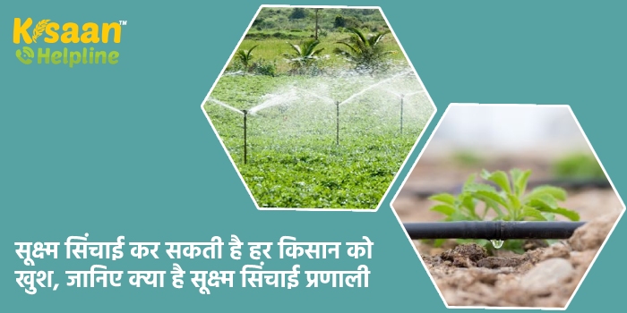 सूक्ष्म सिंचाई कर सकती है हर किसान को खुश, जानिए क्या है सूक्ष्म सिंचाई प्रणाली सूक्ष्म सिंचाई कर सकती है हर किसान को खुश, जानिए क्या है सूक्ष्म सिंचाई प्रणाली