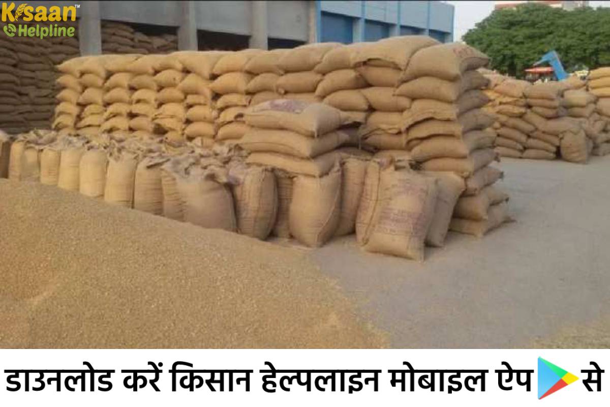 मध्यप्रदेश के किसान को मंडी तक आने की मशक्कत से छुटकारा घर से ही बेच सकेंगे अपनी उपज, जानिए इस खबर के बारे में मध्यप्रदेश के किसान को मंडी तक आने की मशक्कत से छुटकारा घर से ही बेच सकेंगे अपनी उपज, जानिए इस खबर के बारे में