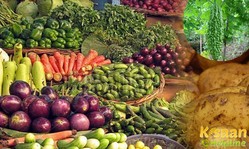 जानिए कैसे कर सकते है सब्जियों का बगीचा तैयार जानिए कैसे कर सकते है सब्जियों का बगीचा तैयार