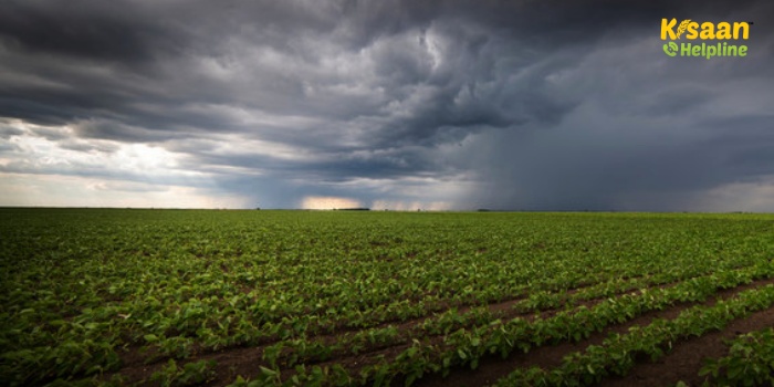 देशभर में भारी बारिश की चेतावनी, आईएमडी ने इन राज्यों के लिए जारी किया रेड अलर्ट देशभर में भारी बारिश की चेतावनी, आईएमडी ने इन राज्यों के लिए जारी किया रेड अलर्ट