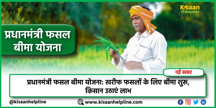 प्रधानमंत्री फसल बीमा योजना: खरीफ फसलों के लिए बीमा शुरू, किसान उठाएं लाभ प्रधानमंत्री फसल बीमा योजना: खरीफ फसलों के लिए बीमा शुरू, किसान उठाएं लाभ