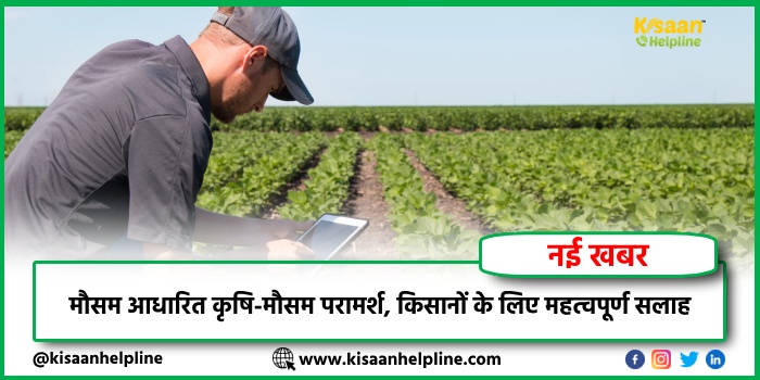 मौसम आधारित कृषि-मौसम परामर्श, किसानों के लिए महत्वपूर्ण सलाह मौसम आधारित कृषि-मौसम परामर्श, किसानों के लिए महत्वपूर्ण सलाह