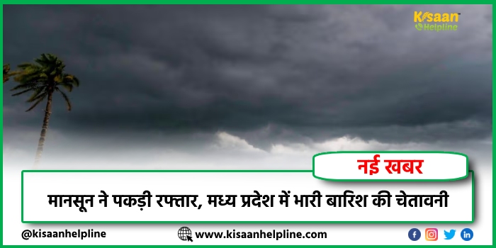मानसून ने पकड़ी रफ्तार, मध्य प्रदेश में भारी बारिश की चेतावनी मानसून ने पकड़ी रफ्तार, मध्य प्रदेश में भारी बारिश की चेतावनी