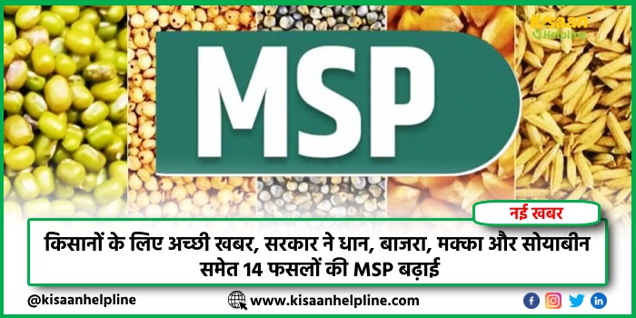खरीफ सीजन की शुरुआत: बारिश की दस्तक, खरीफ सीजन में करें इन सब्जियों की बुआई, जो कम समय में देगी बेहतर उत्पादन खरीफ सीजन की शुरुआत: बारिश की दस्तक, खरीफ सीजन में करें इन सब्जियों की बुआई, जो कम समय में देगी बेहतर उत्पादन
