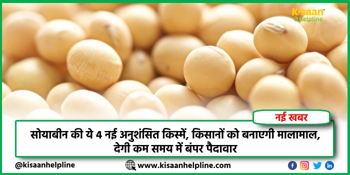 PM Kisan Yojana : आज PM किसानों को सम्मान निधि की 17वीं किस्त जारी करेंगे, ऐसे चेक करें लाभार्थी सूची में अपना नाम PM Kisan Yojana : आज PM किसानों को सम्मान निधि की 17वीं किस्त जारी करेंगे, ऐसे चेक करें लाभार्थी सूची में अपना नाम