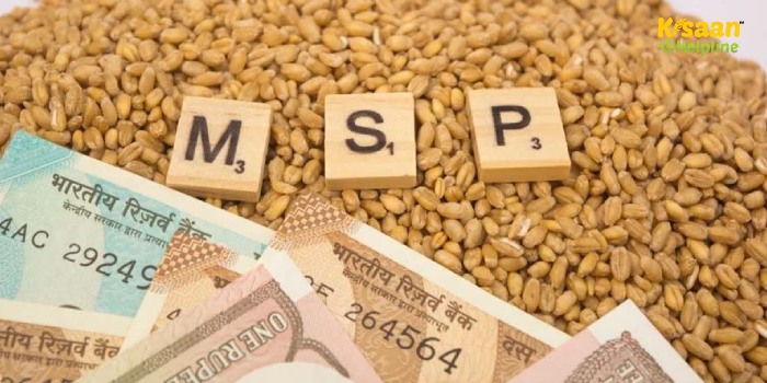 केंद्र सरकार ने 2025-26 के रबी फसलों के लिए एमएसपी में वृद्धि की घोषणा की, गेहूं का समर्थन मूल्य ₹2,425 प्रति क्विंटल केंद्र सरकार ने 2025-26 के रबी फसलों के लिए एमएसपी में वृद्धि की घोषणा की, गेहूं का समर्थन मूल्य ₹2,425 प्रति क्विंटल