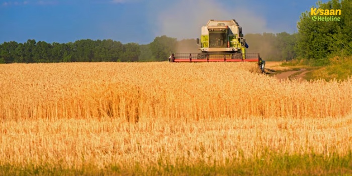 गेहूं के डंठल से होगी बंपर कमाई, किसान प्रति एकड़ 80 हजार तक कमा सकते हैं मुनाफा