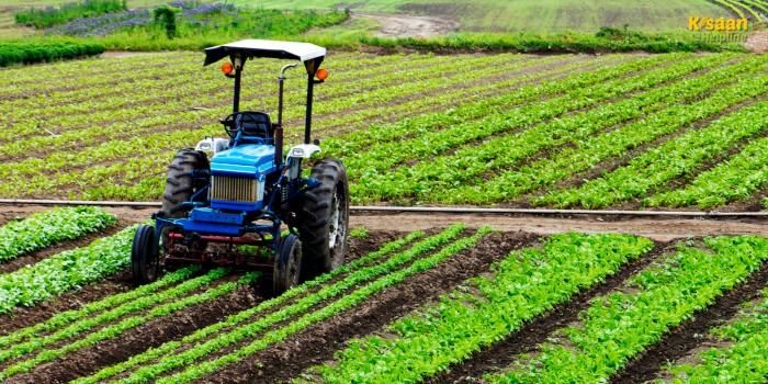 समय रहते करें खेती के ये जरूरी काम, मई में तैयारी से बढ़ेगा मुनाफा, फसल होगी शानदार समय रहते करें खेती के ये जरूरी काम, मई में तैयारी से बढ़ेगा मुनाफा, फसल होगी शानदार