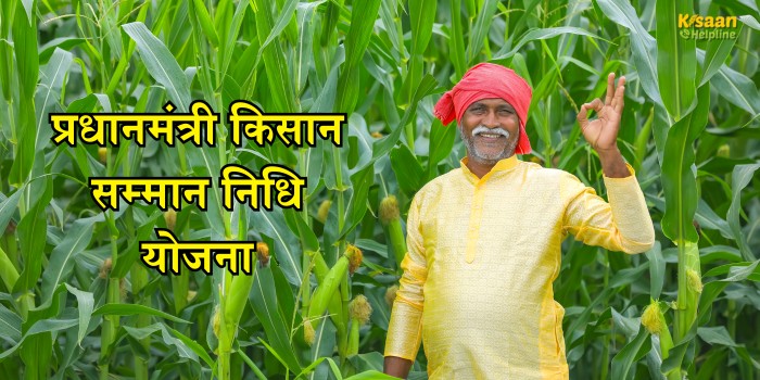 PM Kisan Yojana की 20वीं किस्त जून में आएगी, समय पर करें ये जरूरी काम, वरना अटक सकती है राशि PM Kisan Yojana की 20वीं किस्त जून में आएगी, समय पर करें ये जरूरी काम, वरना अटक सकती है राशि