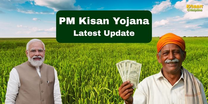 PM किसान की 20वीं किस्त कब आएगी? 4 महीने से इंतजार में बैठे किसानों के लिए क्या है जरूरी जानकारी PM किसान की 20वीं किस्त कब आएगी? 4 महीने से इंतजार में बैठे किसानों के लिए क्या है जरूरी जानकारी