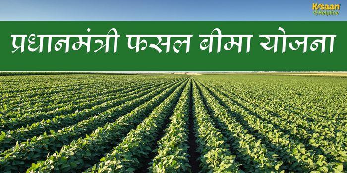 किसानों के लिए जरूरी खबर: फसल बीमा का फायदा उठाने का मौका, 31 जुलाई से पहले जरूर करें आवेदन किसानों के लिए जरूरी खबर: फसल बीमा का फायदा उठाने का मौका, 31 जुलाई से पहले जरूर करें आवेदन