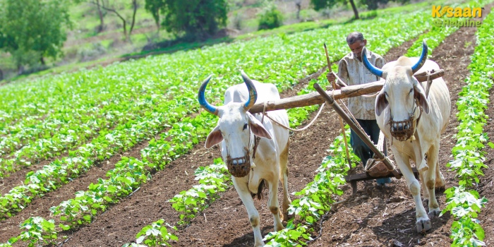 प्रधानमंत्री धन-धान्य कृषि योजना: जानें कैसे मिलेगा किसानों को इसका फायदा प्रधानमंत्री धन-धान्य कृषि योजना: जानें कैसे मिलेगा किसानों को इसका फायदा