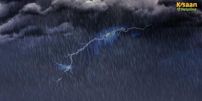 देशभर में भारी बारिश का अलर्ट: किसान भाई सतर्क रहें, अगले 7 दिनों तक कई राज्यों में तेज़ बारिश और आंधी-तूफान की संभावना देशभर में भारी बारिश का अलर्ट: किसान भाई सतर्क रहें, अगले 7 दिनों तक कई राज्यों में तेज़ बारिश और आंधी-तूफान की संभावना