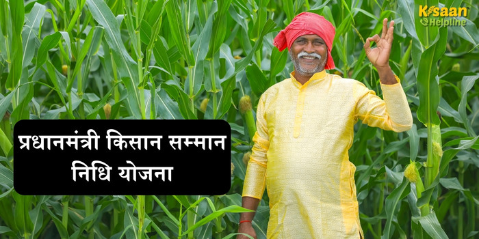 PM Kisan Yojana: 2 अगस्त को किसानों के खाते में आएंगे 2000 रुपये, जानें स्टेटस चेक करने का तरीका PM Kisan Yojana: 2 अगस्त को किसानों के खाते में आएंगे 2000 रुपये, जानें स्टेटस चेक करने का तरीका