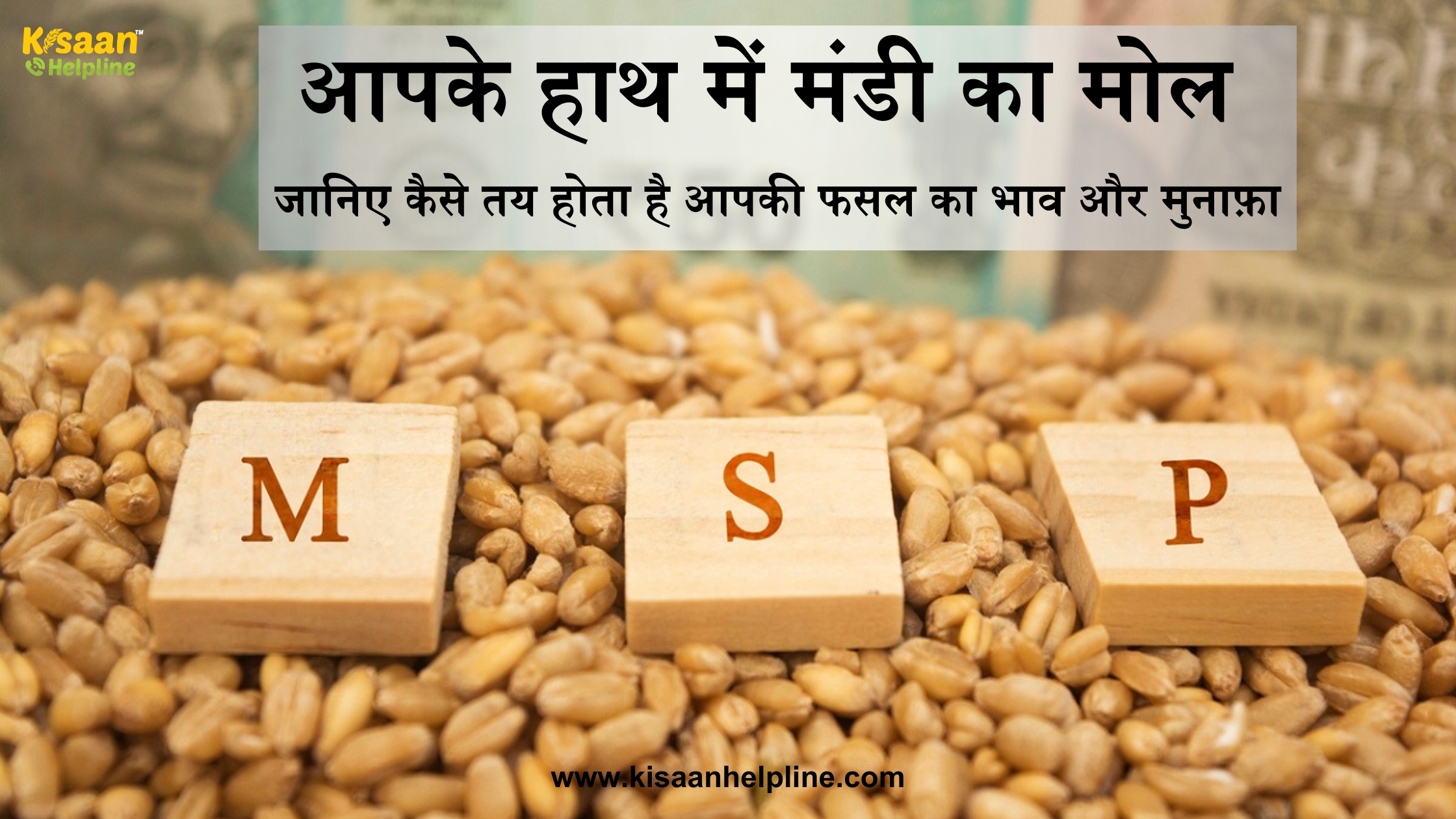 आपके हाथ में मंडी का मोल: जानिए कैसे तय होता है आपकी फसल का भाव और मुनाफ़ा