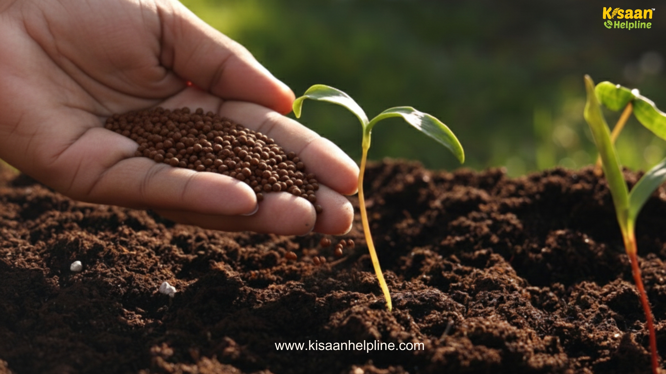 टाटा स्टील की नई स्लैग खाद से किसानों की किस्मत बदली: खेती की लागत घटी, पैदावार में हुई जबरदस्त बढ़ोतरी