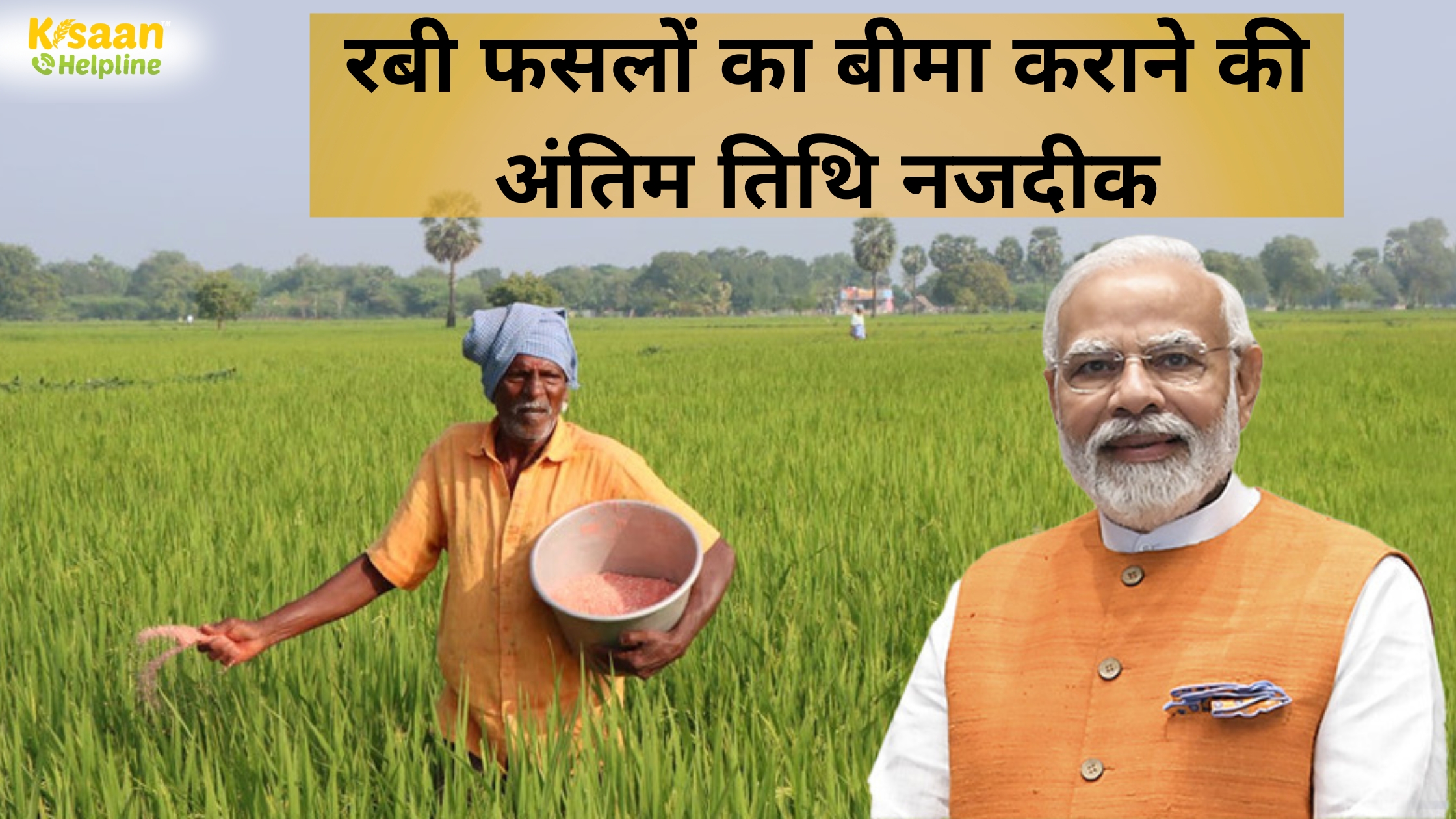 रबी फसलों का बीमा कराने की अंतिम तिथि नजदीक, किसान जल्द करें आवेदन