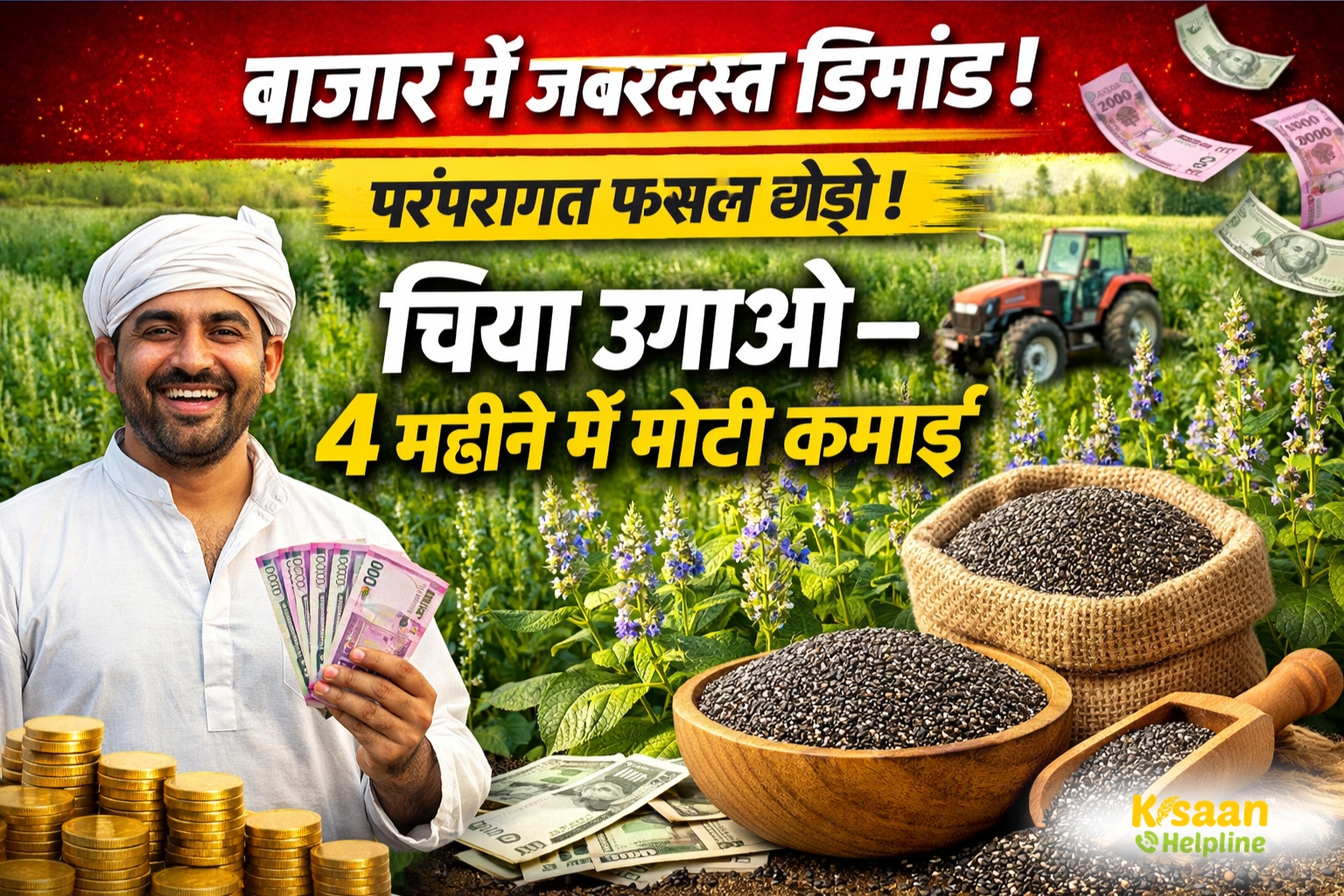 4 महीने में तैयार होने वाली चिया सीड्स की खेती से किसानों को बड़ा फायदा, कम लागत में प्रति बीघा 45 हजार तक मुनाफा संभव