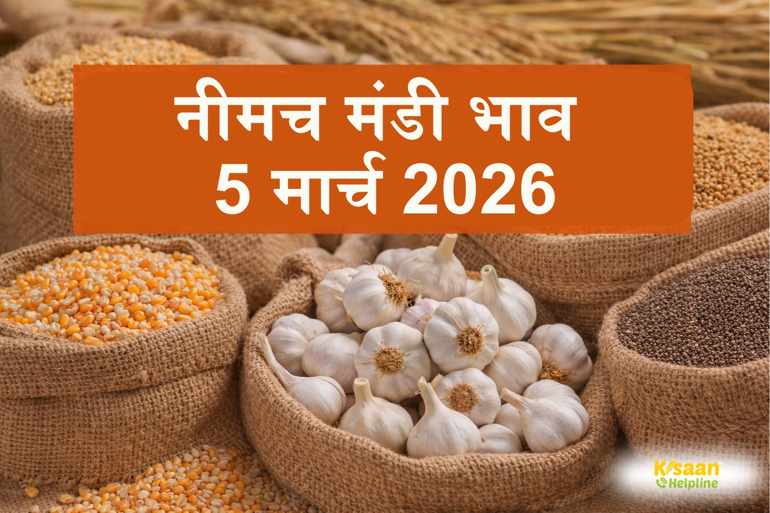 नीमच मंडी रिपोर्ट: धनिया, अजवाइन और चिया बीज के दाम मजबूत, देखें आज का पूरा भाव