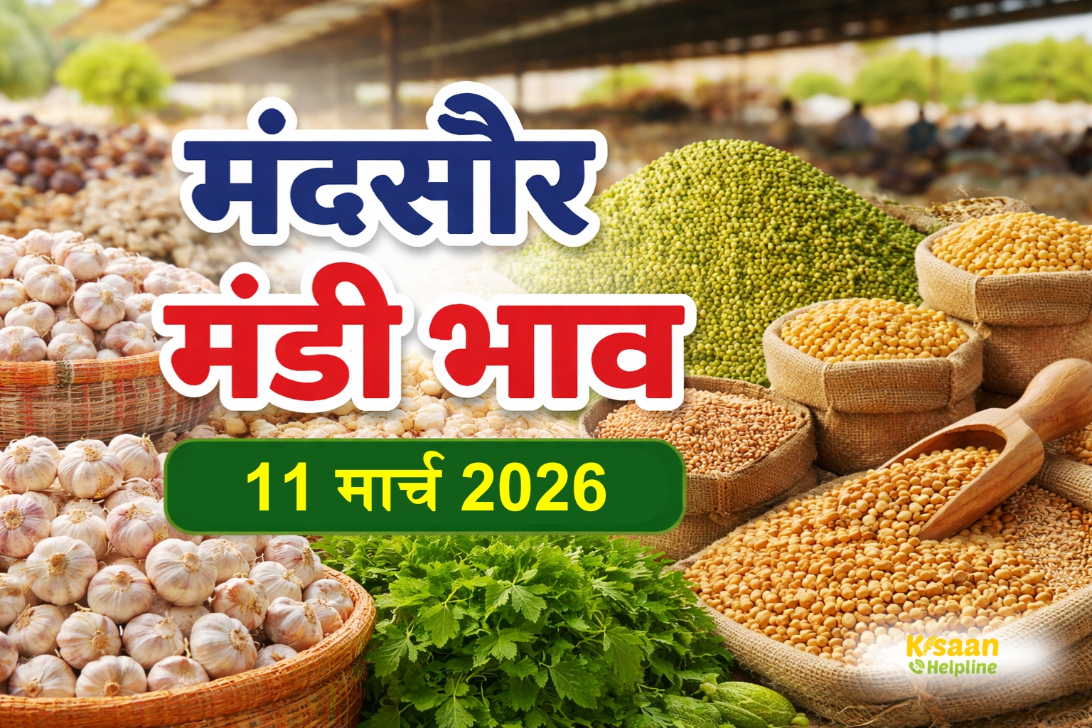 मंदसौर मंडी रिपोर्ट: लहसुन, धनिया और चिया बीज के मिले बेहतर दाम, देखें 11 मार्च के भाव